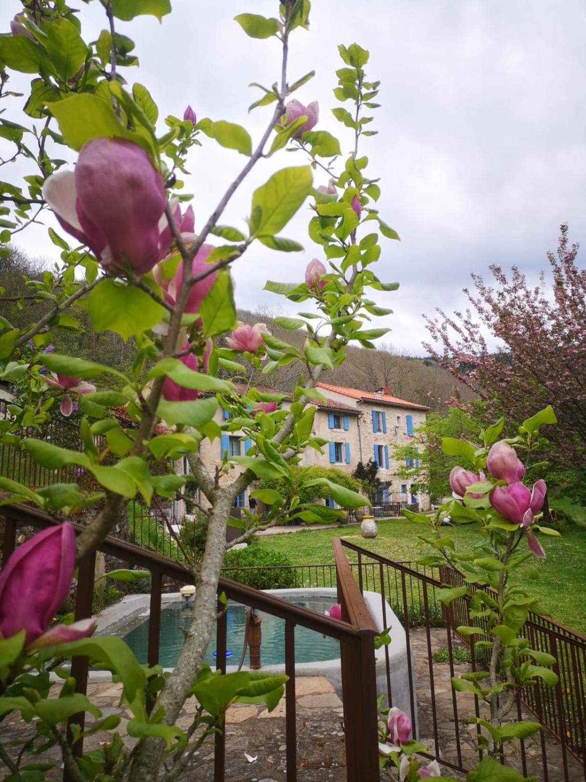 Nabat Le Haut, Chambre Et Table D'Hotes Courniou Luaran gambar
